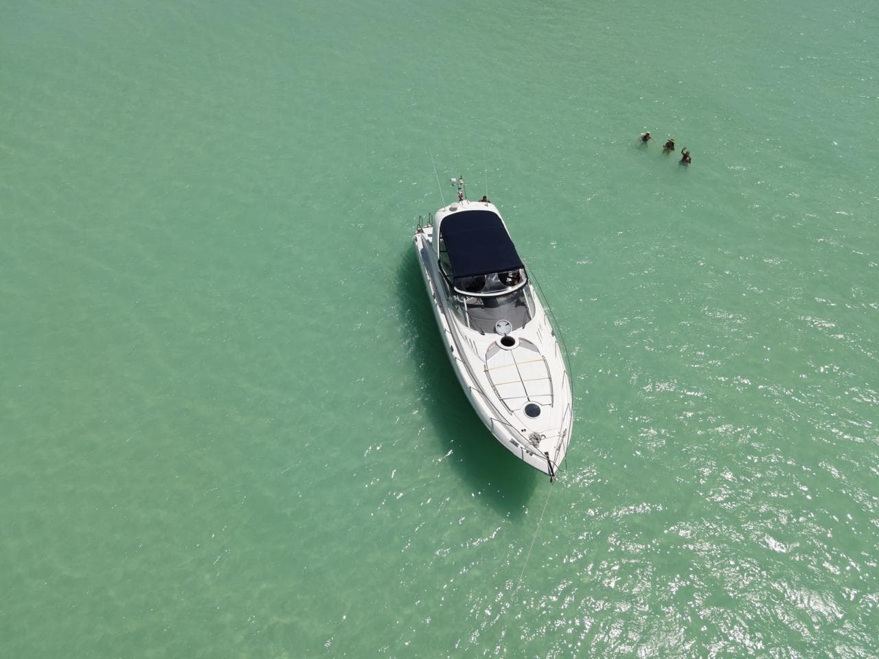 Ocean Paradise